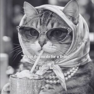 Not for Sale, show for show or trade!